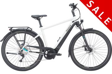 PEGASUS Premio Evo 10 Lite *