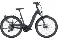 Pegasus Strong Evo 11 Lite *