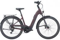 Pegasus Strong Evo 10 Lite *