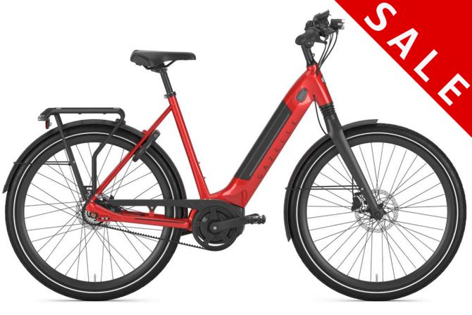 GAZELLE | Ultimate C8+ HMB Belt *