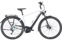Pegasus Premio Evo 10 Lite *