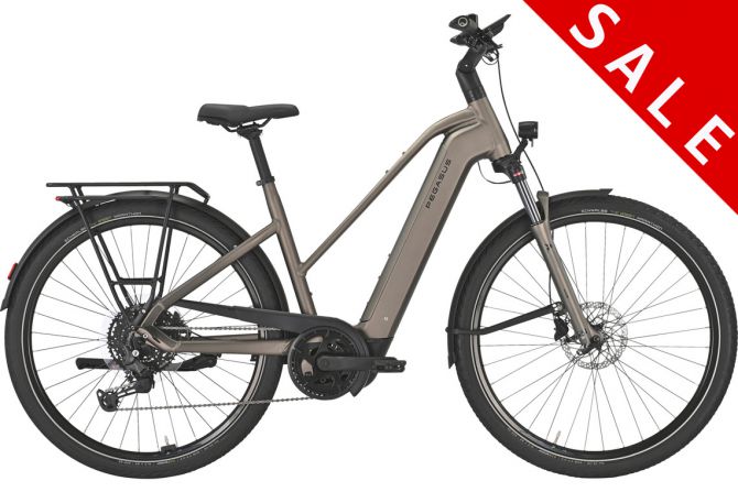 Pegasus | PREMIO EVO 10 Lite