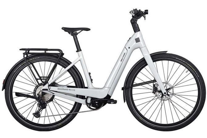 KETTLER Alu-Rad | Quadrano Pro12 LTD *