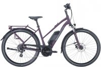 Pegasus Solero E8 Plus * deep berry